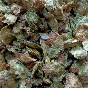 Houblon bio France