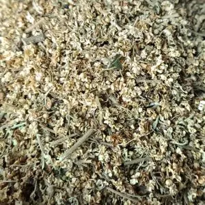 Sureau noir bio - fleurs
