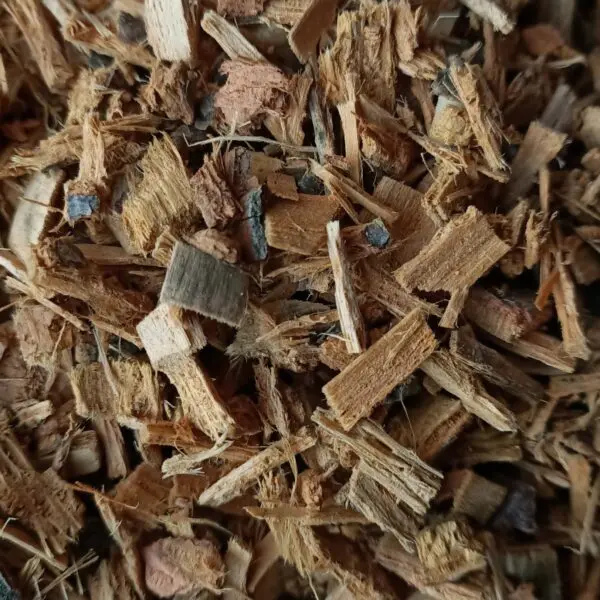 Tilleul bio France - aubier