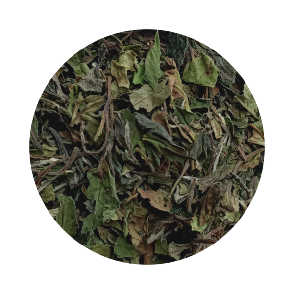 Pai Mu Tan | Thé blanc bio