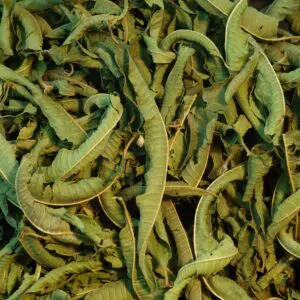 Verveine citronnée bio grande feuille