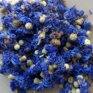 Bleuet bio