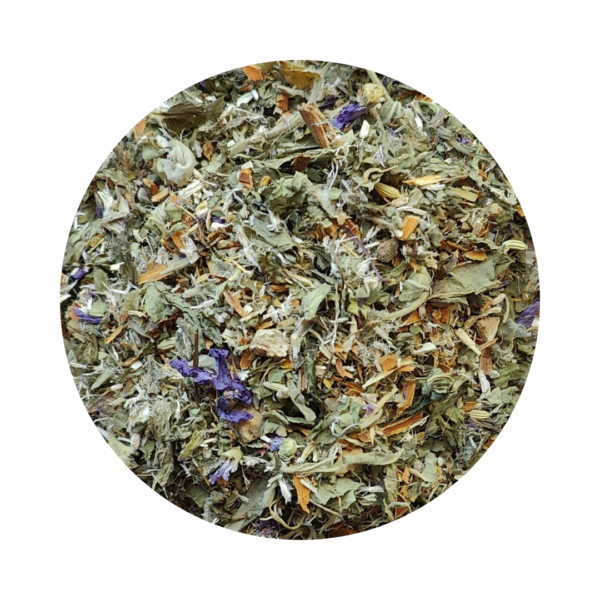 Transit lent | Tisane bio